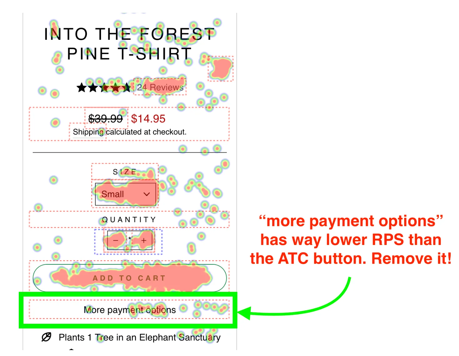 Case Study: “More Payment Options”